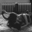 ilasex73