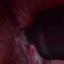 fede185353232