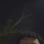 gvieira__