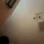 magnetica76